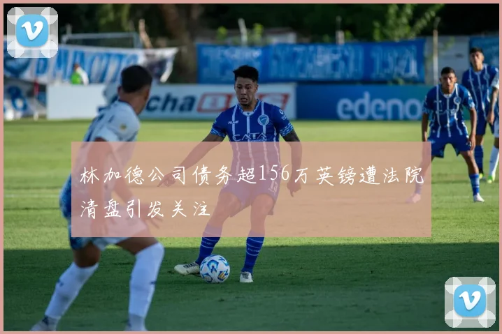 林加德公司债务超156万英镑遭法院清盘引发关注