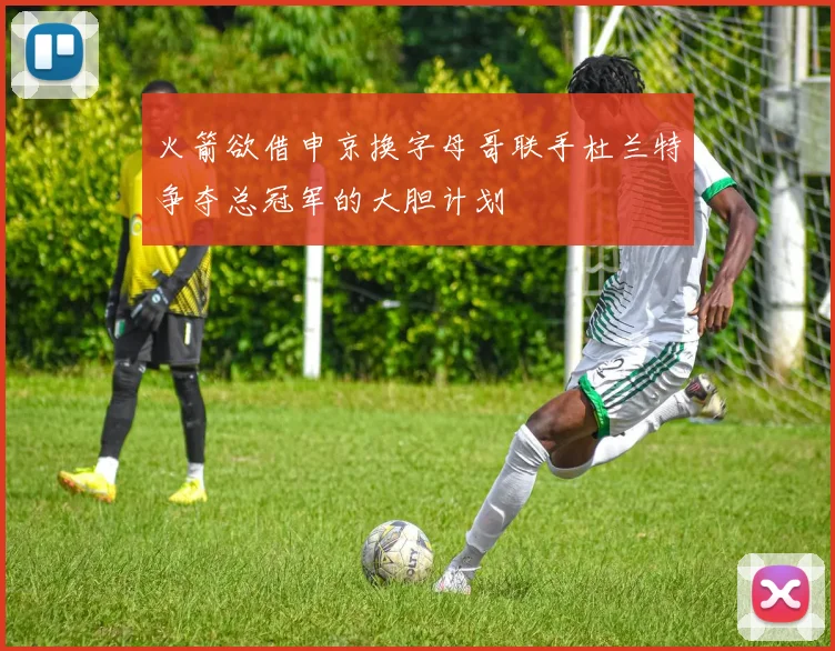 火箭欲借申京换字母哥联手杜兰特争夺总冠军的大胆计划
